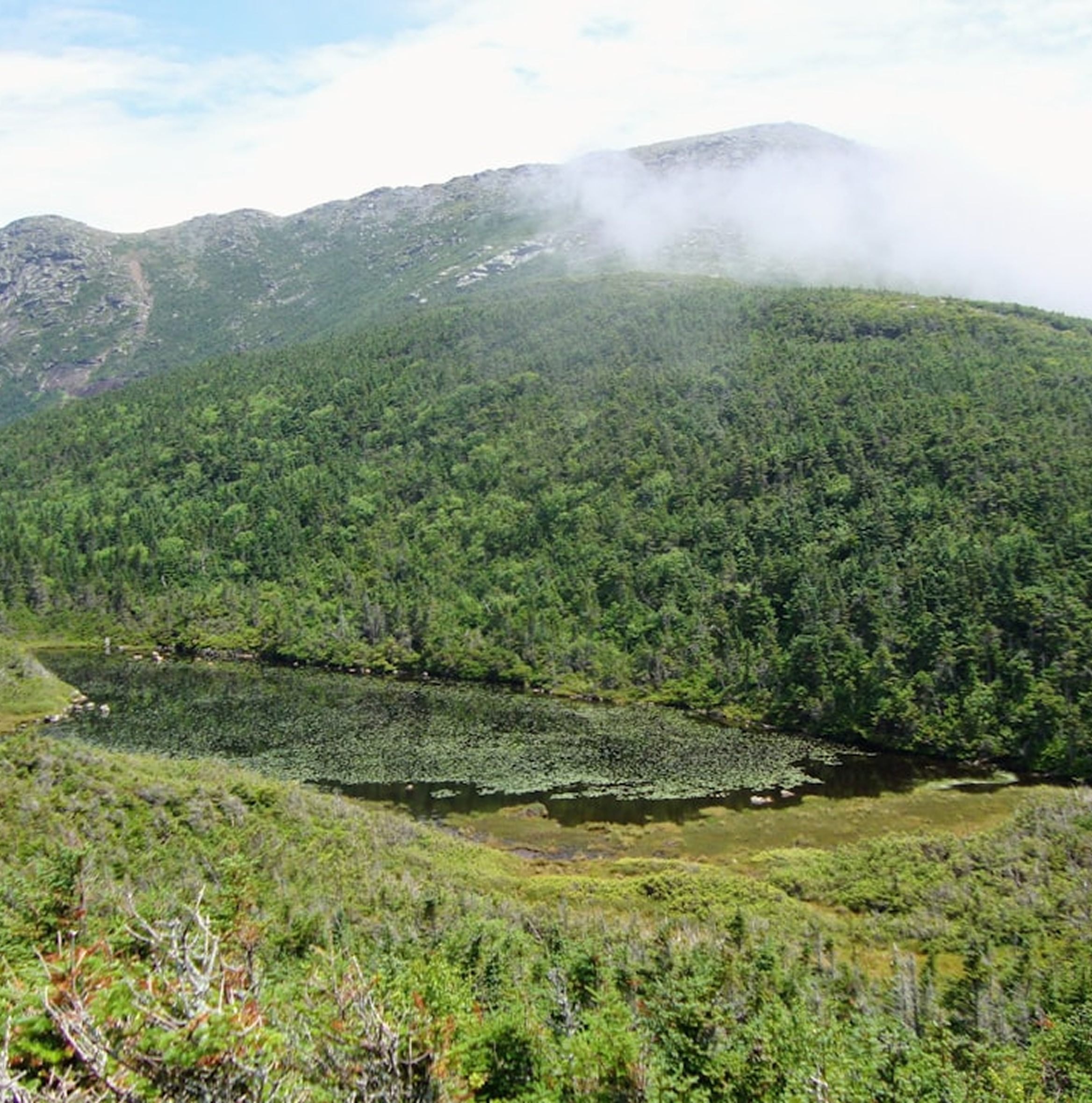 Image-New-England-landscape.png